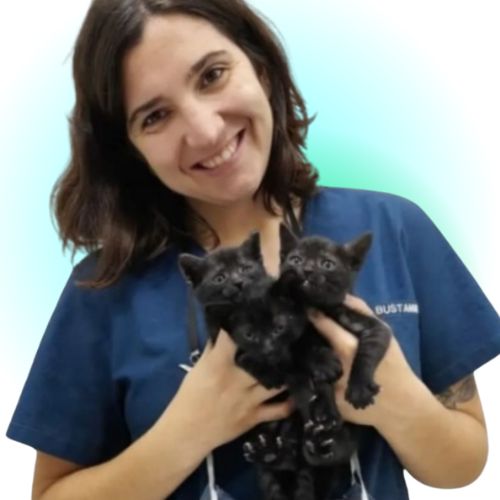 xr:d:daft84me2ca:8,j:7496643946233804749,t:23090911