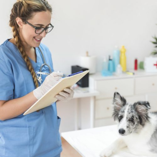 smiling female veterinarian writing clipboard with dog table clinic
